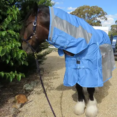 Love My Horse Rainsheet Mesh Hybrid fits the large heavy breeds like a glove. Waterproof, cool and breathable 2