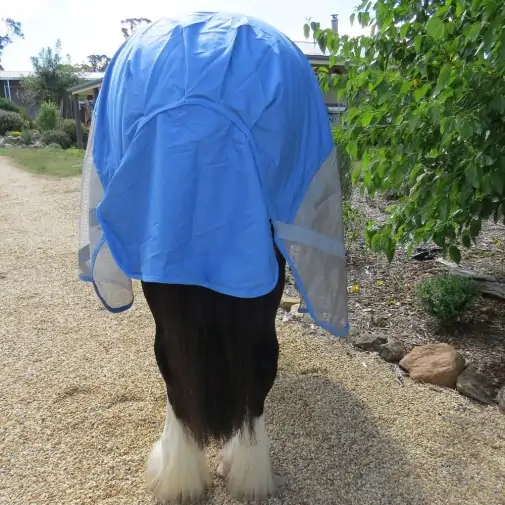 Love My Horse Rainsheet Mesh Hybrid fits the large heavy breeds like a glove. Waterproof, cool and breathable
