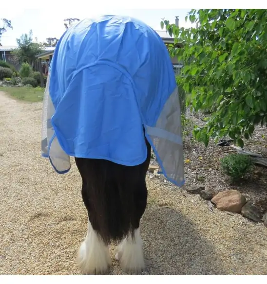 Love My Horse Rainsheet Mesh Hybrid fits the large heavy breeds like a glove. Waterproof, cool and breathable