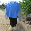 Love My Horse Rainsheet Mesh Hybrid fits the large heavy breeds like a glove. Waterproof, cool and breathable