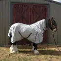 Large brown clydesdale horse wearing Love My Horse silver clydesdale mesh combo