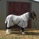Large brown clydesdale horse wearing Love My Horse silver clydesdale mesh combo