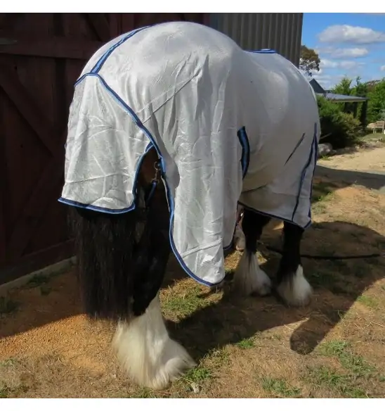 Large brown clydesdale horse wearing Love My Horse silver clydesdale mesh combo