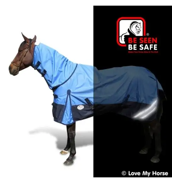 Horse wearing blue Love My Horse 1200 Denier Rainsheet Combo showing Be seen be safe glow in the dark reflectors