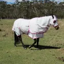 Pink Poly Cotton Rug Hood Set Horse Rugs | LOVE MY HORSE AU