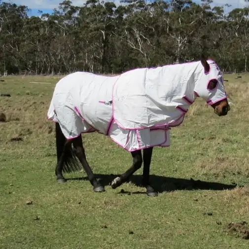 Cotton Hood Set Horse Rugs Pink|Horse Rugs | LOVE MY HORSE - Australia