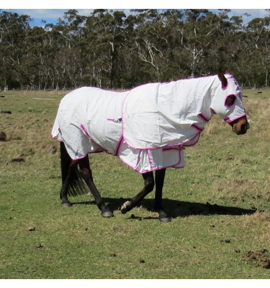 Cotton Hood Set Horse Rugs Pink|Horse Rugs | LOVE MY HORSE - Australia