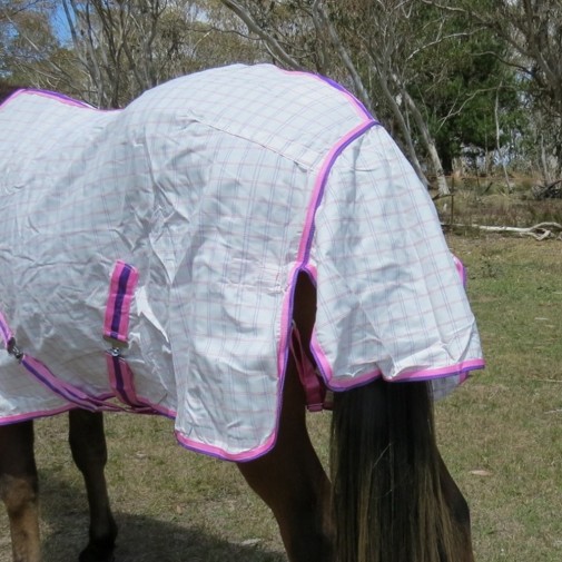 Cotton Hood Set Horse Rugs Pink|Horse Rugs | LOVE MY HORSE - Australia