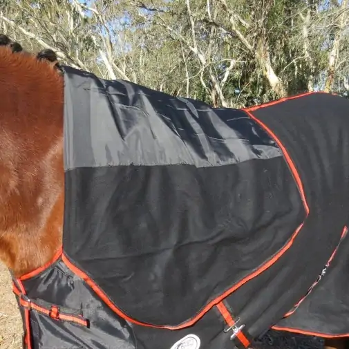 Clydesdale Wool Combo Heavy Horse Rugs Black|Horse Rugs | LOVE MY HORSE - Australia