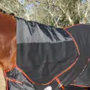 Clydesdale Wool Combo Heavy Horse Rugs Black|Horse Rugs | LOVE MY HORSE - Australia