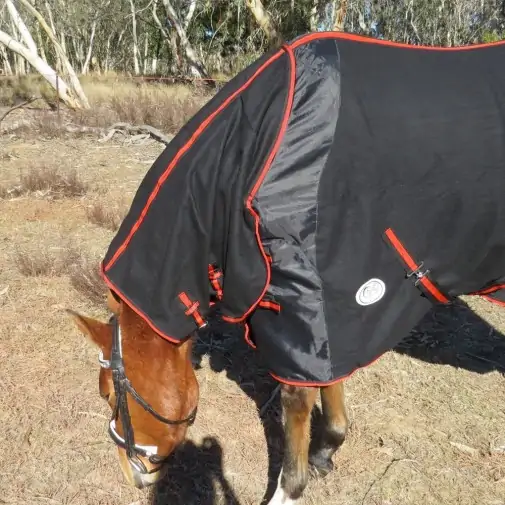 Clydesdale Wool Combo Heavy Horse Rugs Black|Horse Rugs | LOVE MY HORSE - Australia