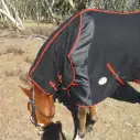 Clydesdale Wool Combo Heavy Horse Rugs Black|Horse Rugs | LOVE MY HORSE - Australia