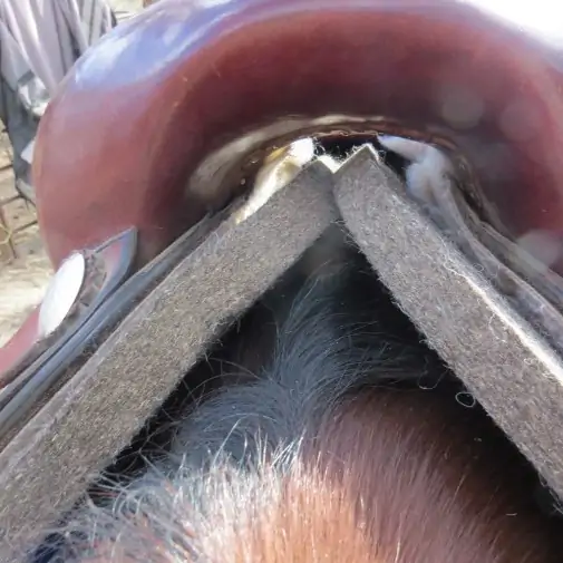 Western Wool Saddle Pad