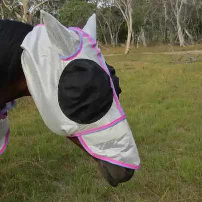 Silver Dura mesh face mask with blue trim with bug eys and ear coverage 2