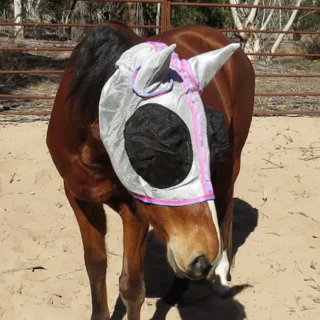 Silver dura mesh face mask with no flap removed