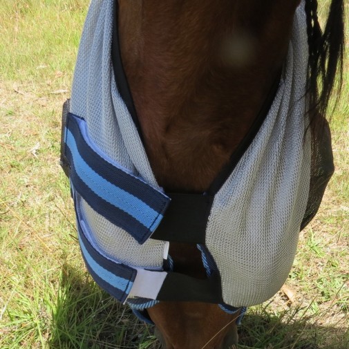 Duramesh face mask under chin velcro attachment with blue trim