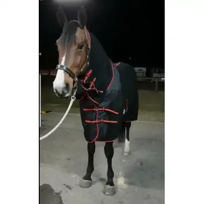 Wool Combo Horse Rugs 2