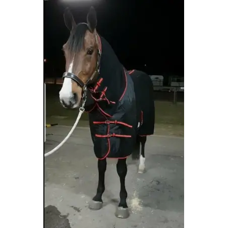 Wool Combo Horse Rugs | LOVE MY HORSE