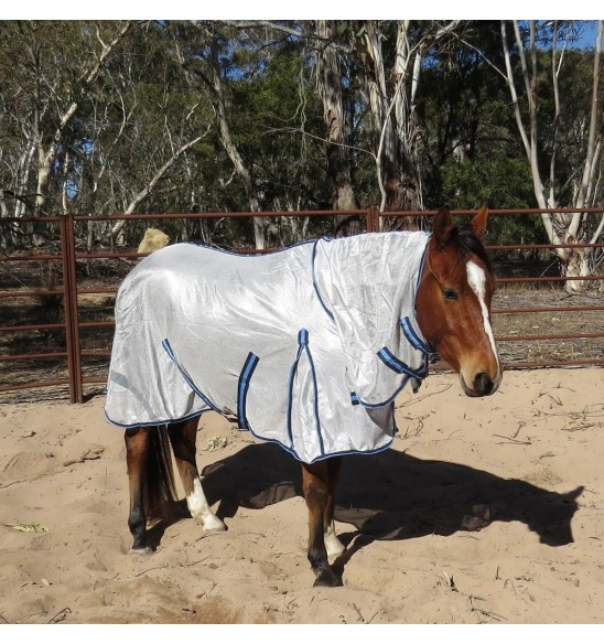 Horse wearing Love my Horse Dura mesh combo silver with blue trim
