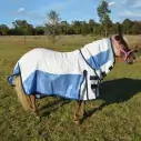 Miniature Cotton Soft Mesh Hybrid Horse Rug Blue|Horse Rugs | LOVE MY HORSE - Australia