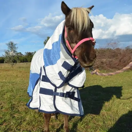 Miniature Cotton Soft Mesh Hybrid Horse Rug Blue|Horse Rugs | LOVE MY HORSE - Australia