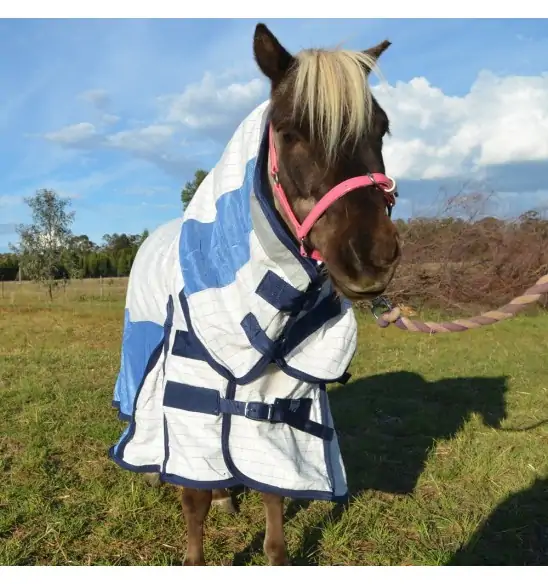Miniature Cotton Soft Mesh Hybrid Horse Rug Blue|Horse Rugs | LOVE MY HORSE - Australia