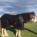 Clydesdale Wool Combo Heavy Horse Rugs Black | LOVE MY HORSE AU