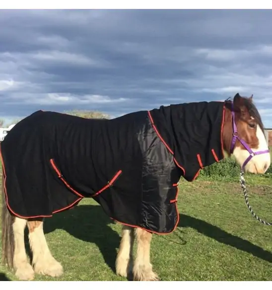 Clydesdale Wool Combo Heavy Horse Rugs Black|Horse Rugs | LOVE MY HORSE - Australia