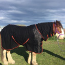 Clydesdale Wool Combo Heavy Horse Rugs Black|Horse Rugs Australia - LOVE MY HORSE
