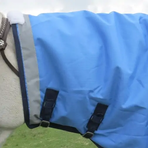 Neck with reflectors and neck buckles on Love My Horse Blue Winter Combo