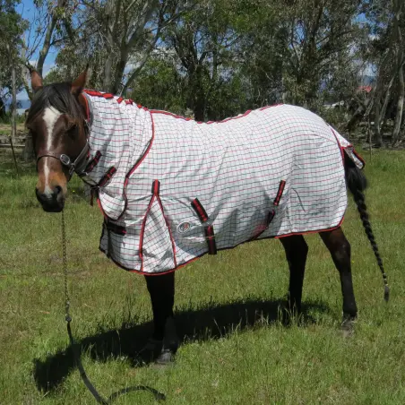 Horse wearing a Rug Red / Black poly cotton combo horse rug