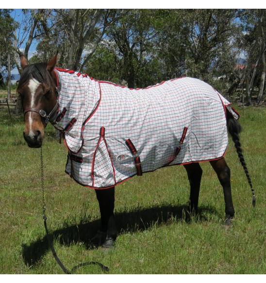 Poly Cotton Mini Combo Horse Rug Red / Black