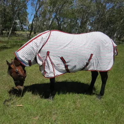 Poly Cotton Mini Combo Horse Rug Red / Black 2