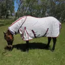 Poly Cotton Mini Combo Horse Rug Red / Black