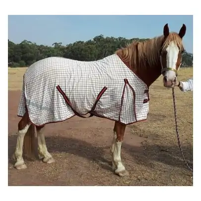 Cotton Horse Rugs Red 2