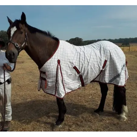 Summer Cotton Horse Rugs | LOVE MY HORSE AU
