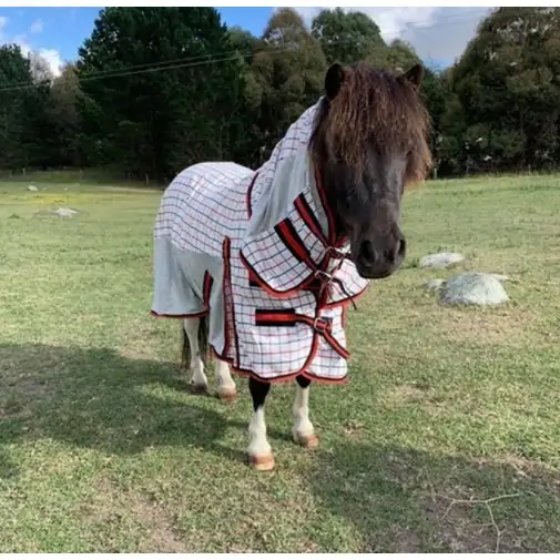 Miniature Cotton Dura Mesh Hybrid Combo Horse Rug Red|Horse Rugs | LOVE MY HORSE - Australia