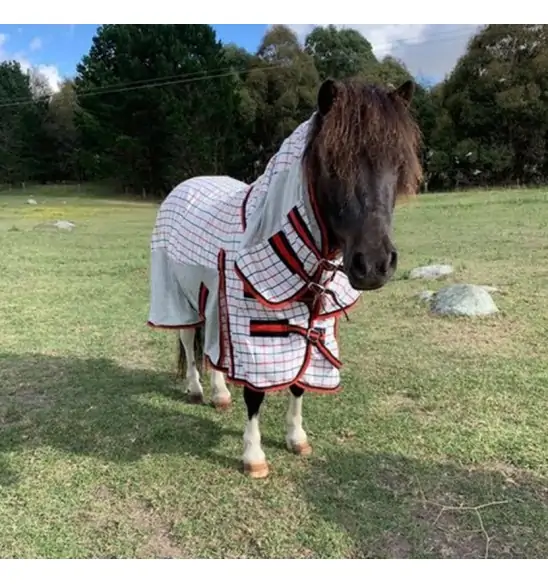 Miniature Cotton Dura Mesh Hybrid Combo Horse Rug Red|Horse Rugs | LOVE MY HORSE - Australia