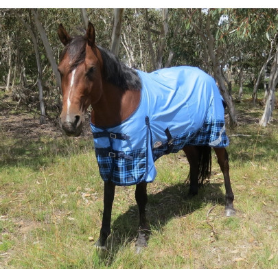 600D Winter 180g Horse Rugs Blue