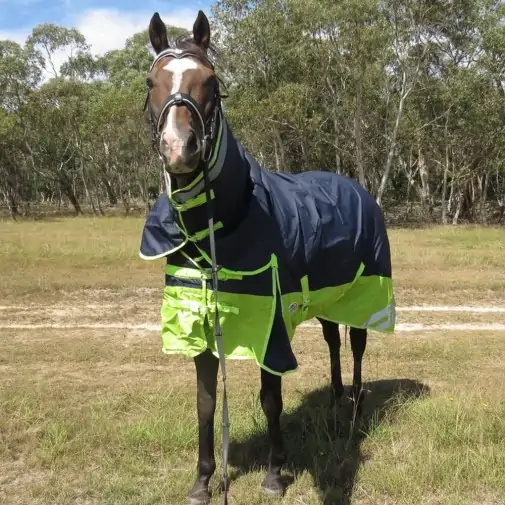 Horse wearing 600 Denier Winter Combo in Navy / Lime