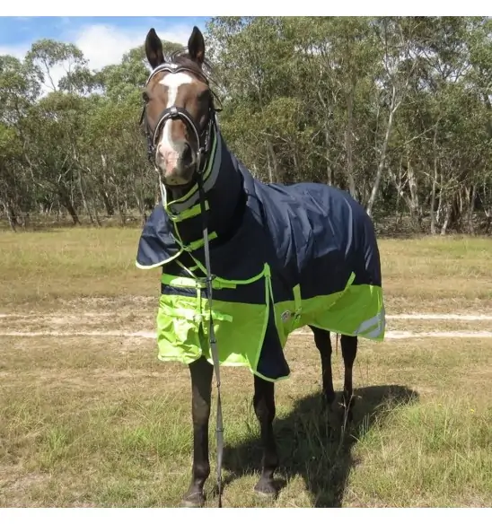 Horse wearing 600 Denier Winter Combo in Navy / Lime
