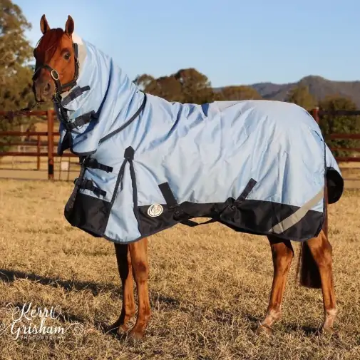Horse wearing blue Love My Horse 1200 Denier Rainsheet Combo