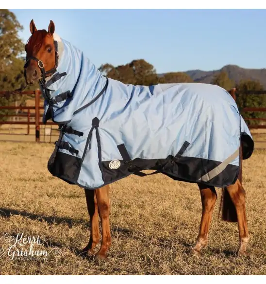 Horse wearing blue Love My Horse 1200 Denier Rainsheet Combo