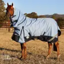 Horse wearing blue Love My Horse 1200 Denier Rainsheet Combo
