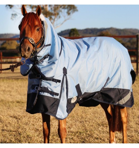 Horse wearing Love My Horse Blue Winter Combo