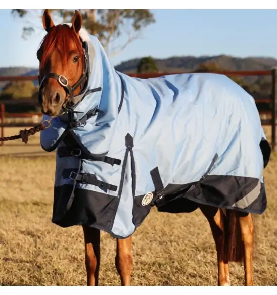 Horse wearing Love My Horse Blue Winter Combo