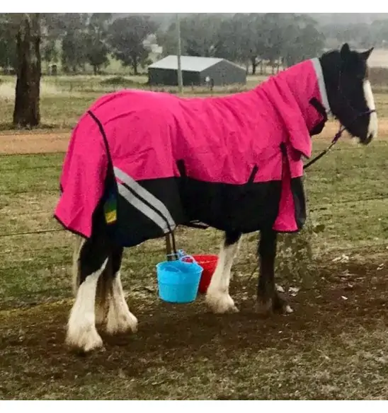 Clydesdale Rainsheet Heavy Horse Rugs Pink|Horse Rugs | LOVE MY HORSE - Australia