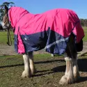 Clydesdale Rainsheet  Heavy Horse Rugs Pink | LOVE MY HORSE AU
