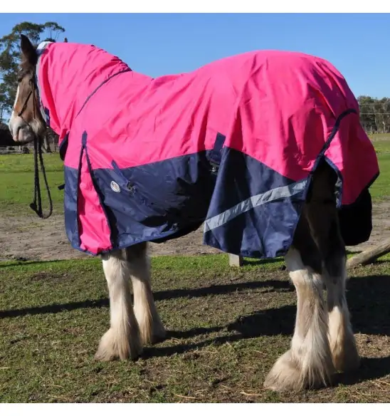 Clydesdale Rainsheet Heavy Horse Rugs Pink|Horse Rugs | LOVE MY HORSE - Australia
