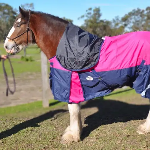 Clydesdale Rainsheet Heavy Horse Rugs Pink|Horse Rugs | LOVE MY HORSE - Australia